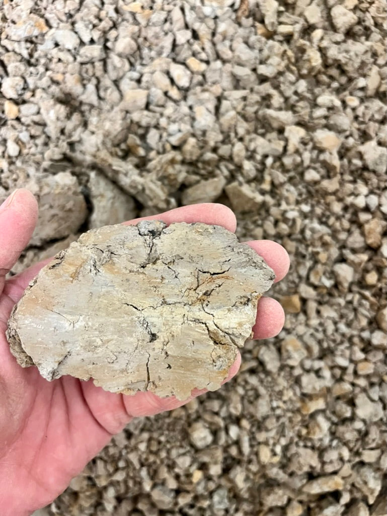 Skapa med vildlera (3 tillfällen)